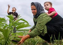پرداخت ۲۱ هزار میلیارد تومان تسهیلات اشتغال روستایی تا دی ماه