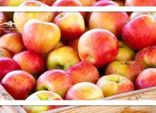 معجزه سیب برای سلامتی بدن