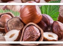 یک مشت فندق چه خواصی دارد؟