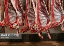 قیمت دام زنده منطقی می‌شود؟ / تعادل در بازار گوشت
