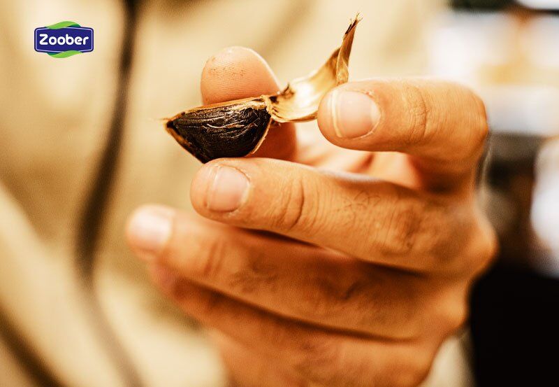 تفاوت سیر سیاه و سیر سفید + خواص شگفت انگیز