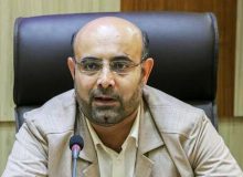 نماینده مجلس: وزارت صمت، کدخدا بسیار دارد!