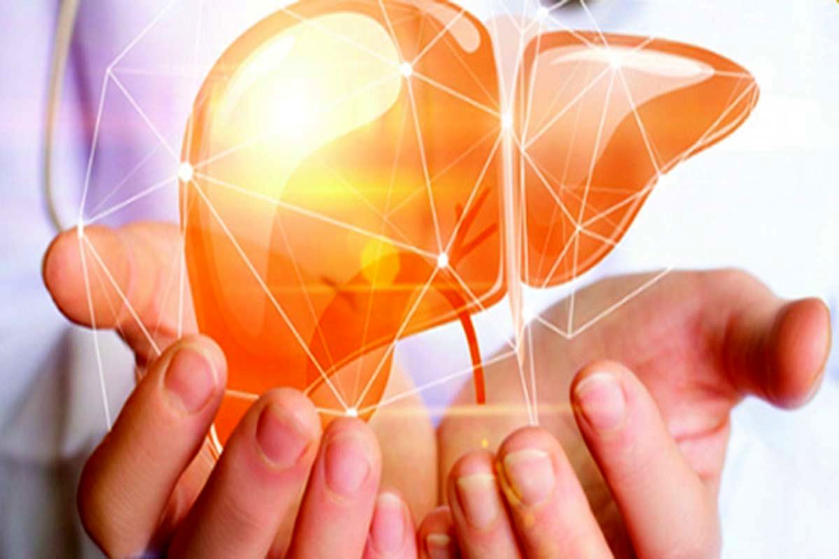 خاصیت گیاه مورد علاقه ابوعلی سینا برای کبد