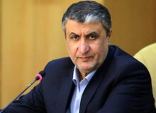 ابقای محمد اسلامی در سازمان انرژی اتمی