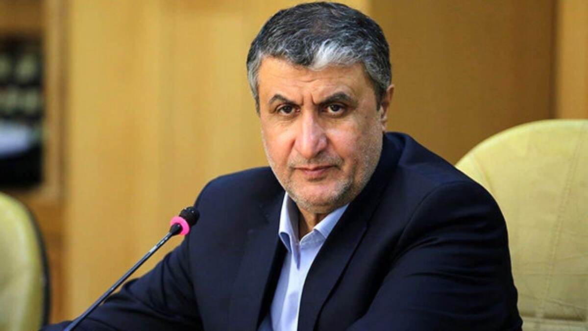 ابقای محمد اسلامی در سازمان انرژی اتمی