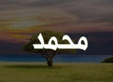 «محمد» محبوب‌ترین نام نوزاد پسر در سراسر انگلیس اعلام شد