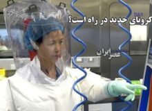 آیا کرونای جدید در راه است؟ این‌بار پای خفاش وسط است