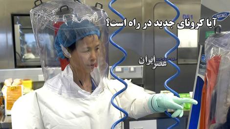 آیا کرونای جدید در راه است؟ این‌بار پای خفاش وسط است