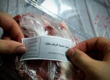 روش‌های مشارکت در پویش «نذر قربانی»/ دریافت نذورات برای کمک به نیازمندان
