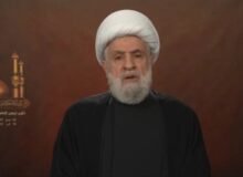 شیخ نعیم قاسم : مقاومت، نتیجه مکتب کربلاست/سلاح مقاومت تا رفع اشغالگری باقی است