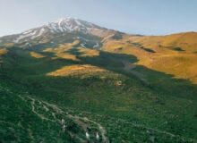 داستان عجیب واگذاری ۸۰ هکتار از بهترین اراضی ملی دماوند با تخفیف ۵۰ درصدی