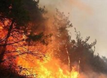 دامنه آتش در الیت کنترل شده است/اطفا کامل آتش سوزی تابع شرایط جوی