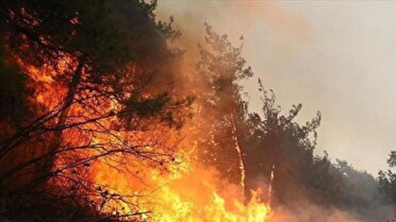 دامنه آتش در الیت کنترل شده است/اطفا کامل آتش سوزی تابع شرایط جوی