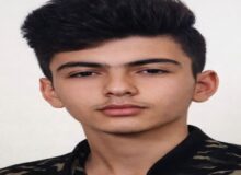 یکی از بسیجیان شهر کوهدشت در دفاع از نظم عمومی به شهادت رسید