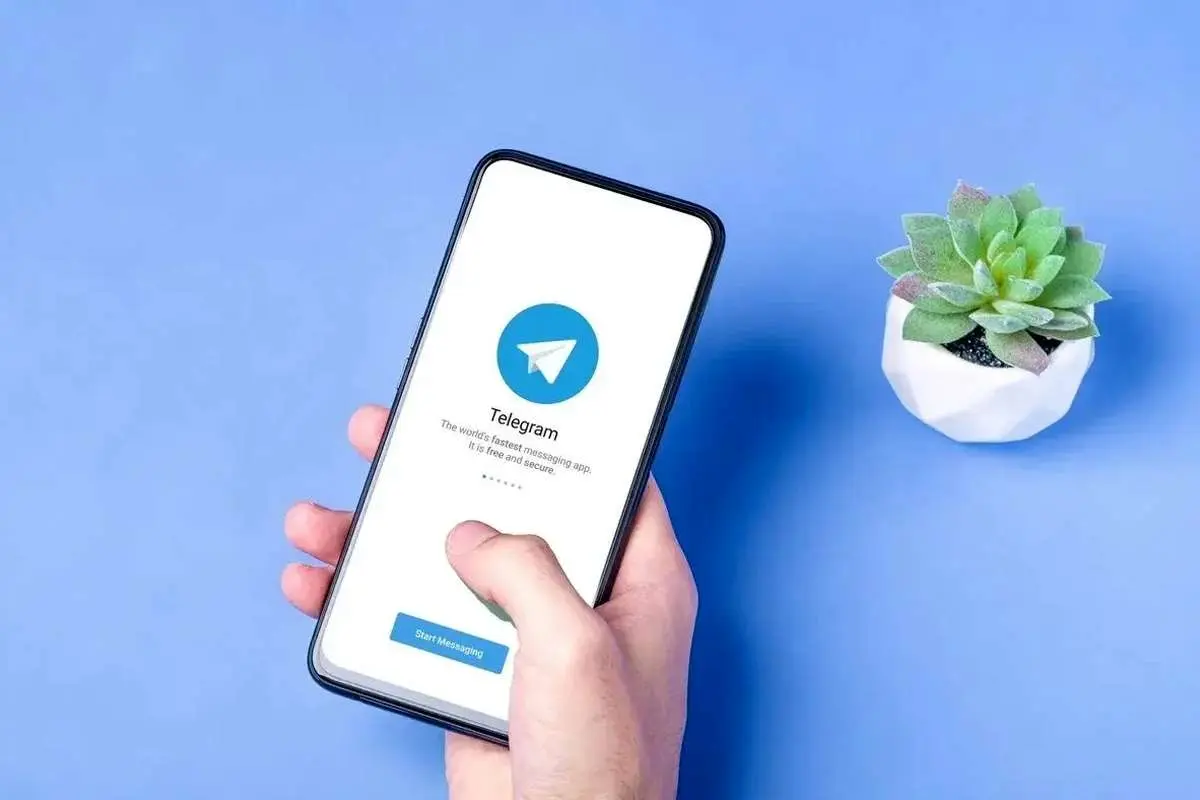 کدام کشورها رسانه‌های اجتماعی را برای کودکان ممنوع کرده‌اند؟